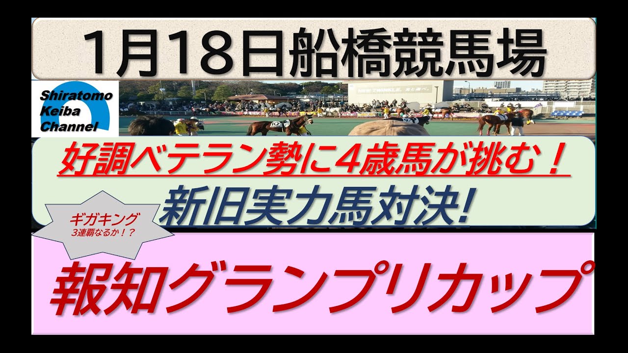 【競馬予想】SⅢ報知グランプリカップ～新旧実力馬対決！～２０２４年１月１８日 船橋競馬場 ：１－３６