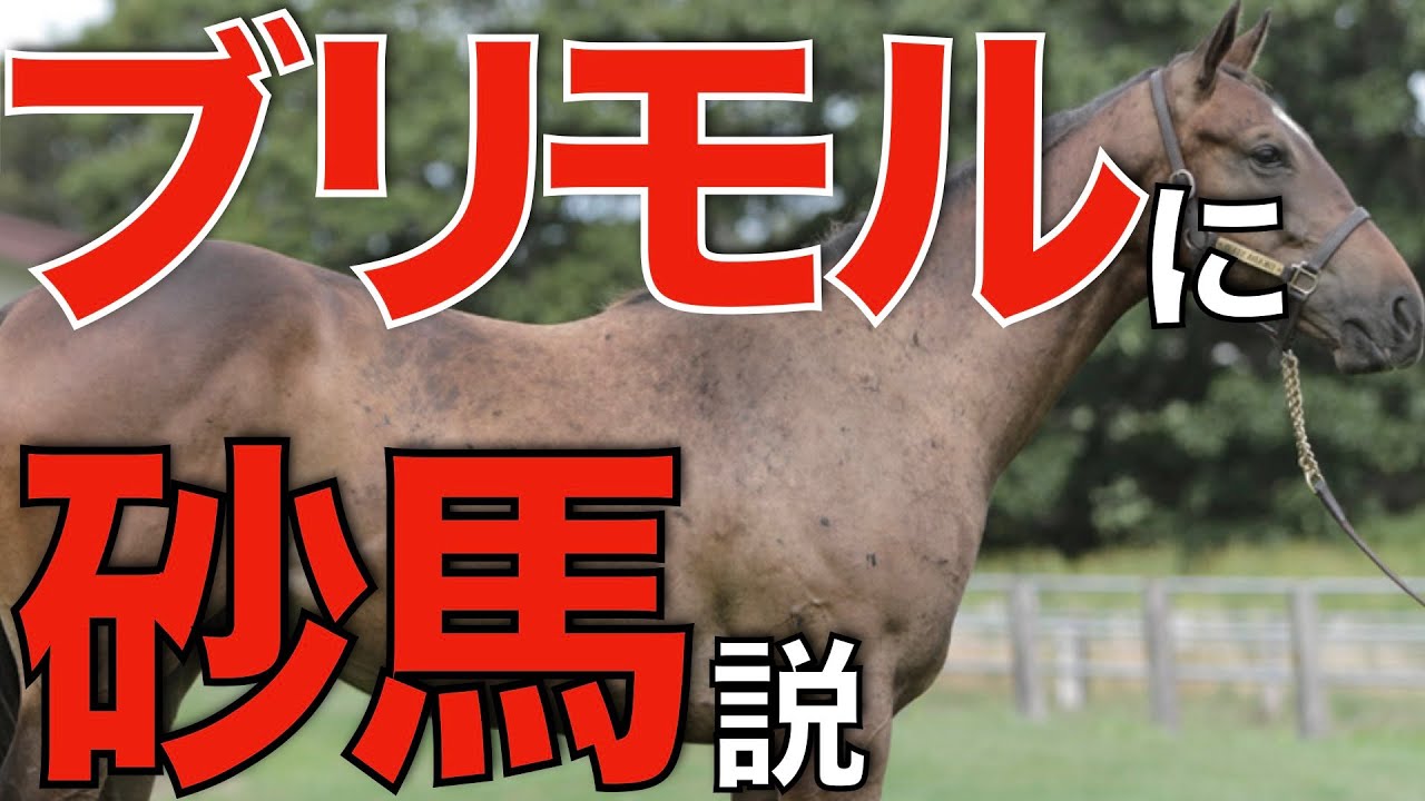 【新動向】ブリックスアンドモルタル、ダート種牡馬としての秘めたる力！StormCat血統の可能性。