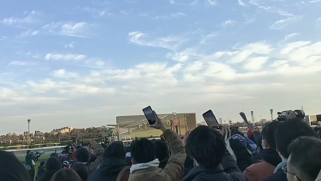 有馬記念現地観戦したら声枯れました。感動をありがとうドウデュース！#ドウデュース  #武豊 #有馬記念 #スターズオンアース #タイトルホルダー