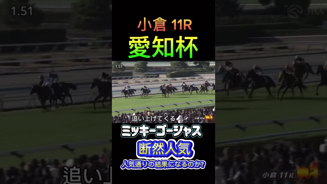 【愛知杯】ミッキーゴージャス結果はいかに...！？#shorts #競馬 #愛知杯 #結果 #part