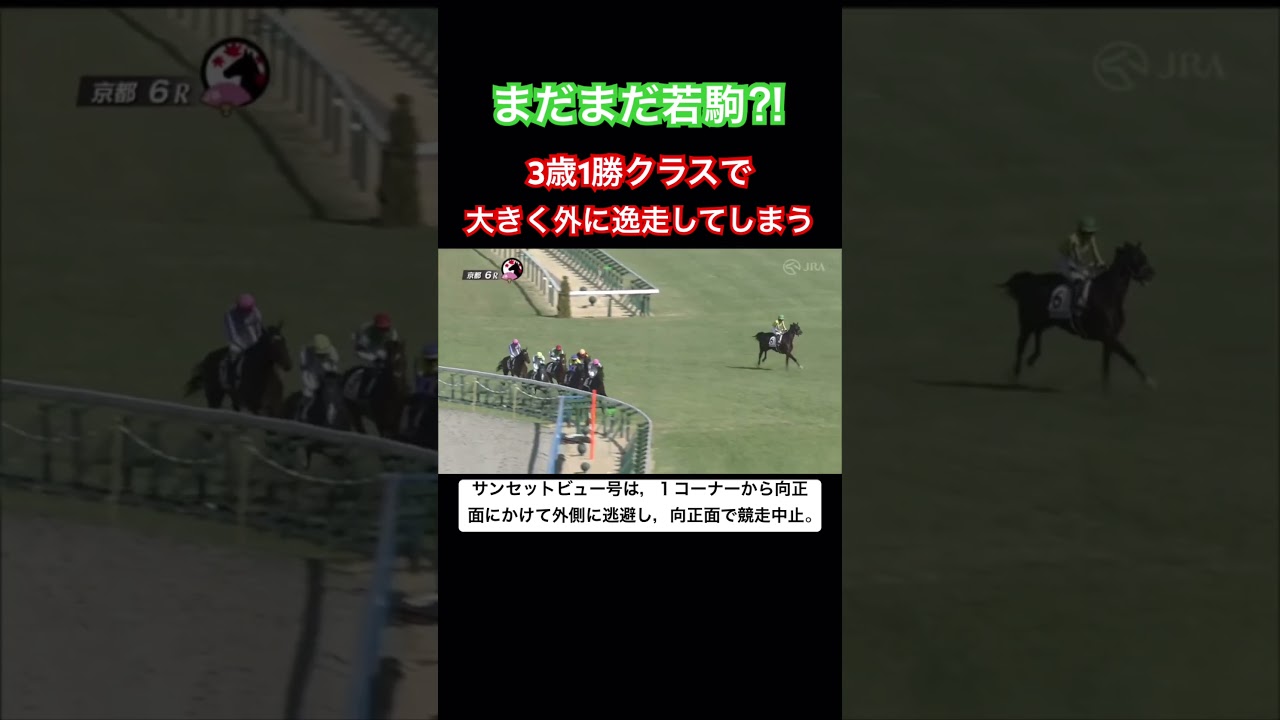 1勝クラスでもこういうことは起きる！ #shorts #競馬