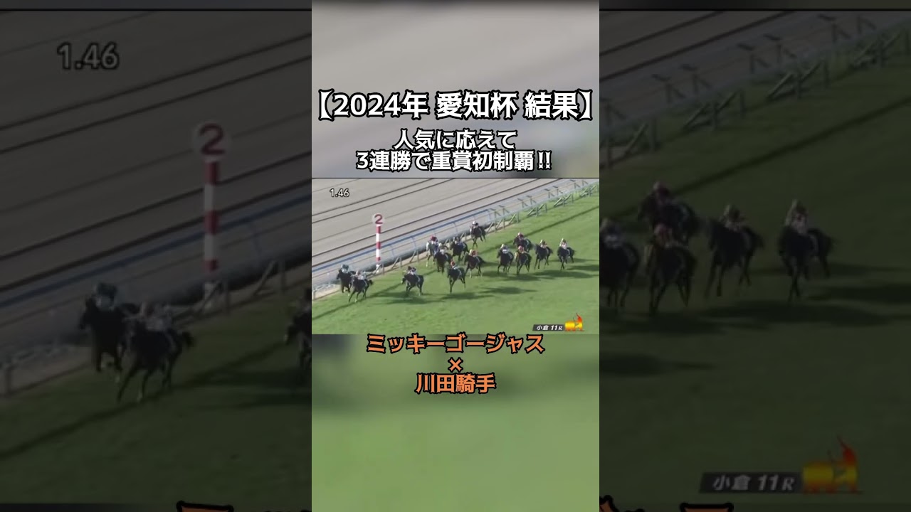 【競馬】2024年 愛知杯 結果 #競馬 #愛知杯 #ミッキーゴージャス #日経新春杯 #京成杯