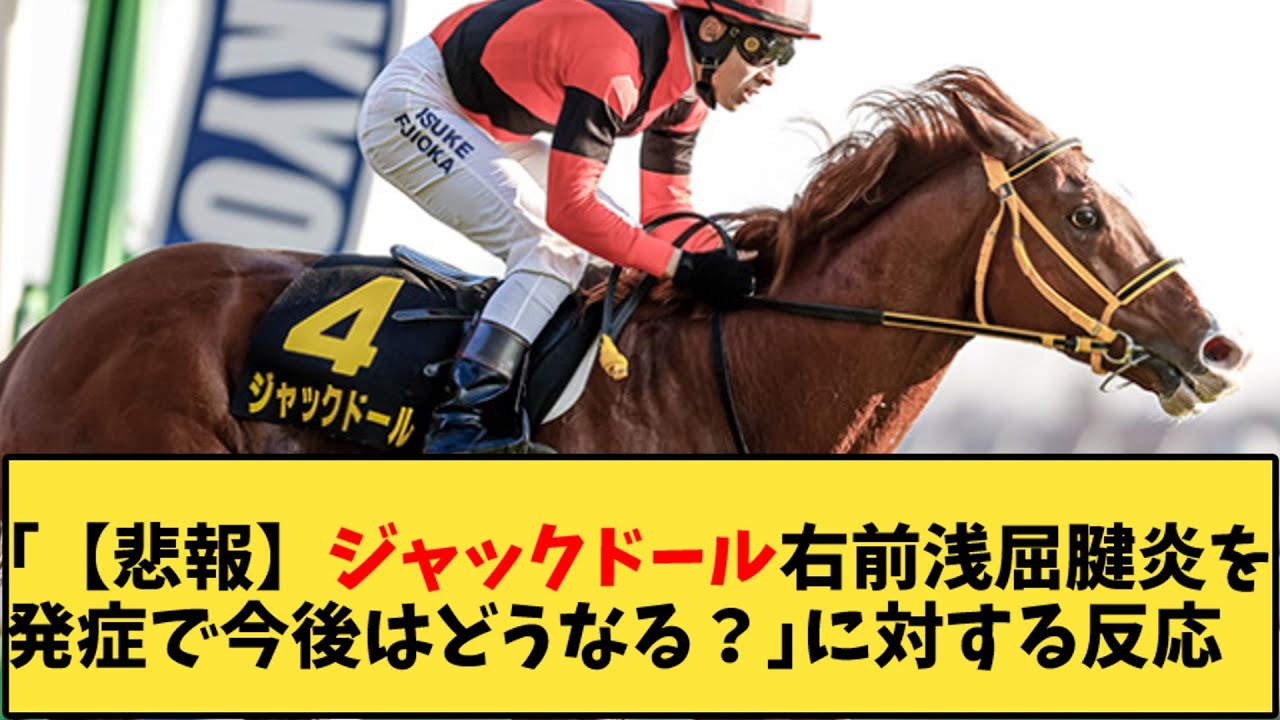 【競馬】「【悲報】ジャックドール右前浅屈腱炎を発症で今後はどうなる？」に対する反応【反応集】