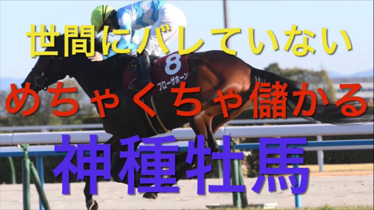 【競馬】今、一番熱い神種牡馬！！めっちゃ儲かる買い条件大公開！！【競馬検証】