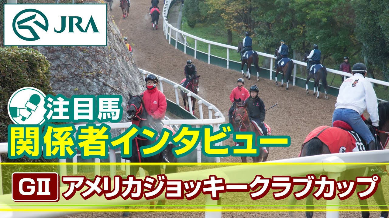 【注目馬 関係者インタビュー】2024年 アメリカジョッキークラブカップ｜JRA公式