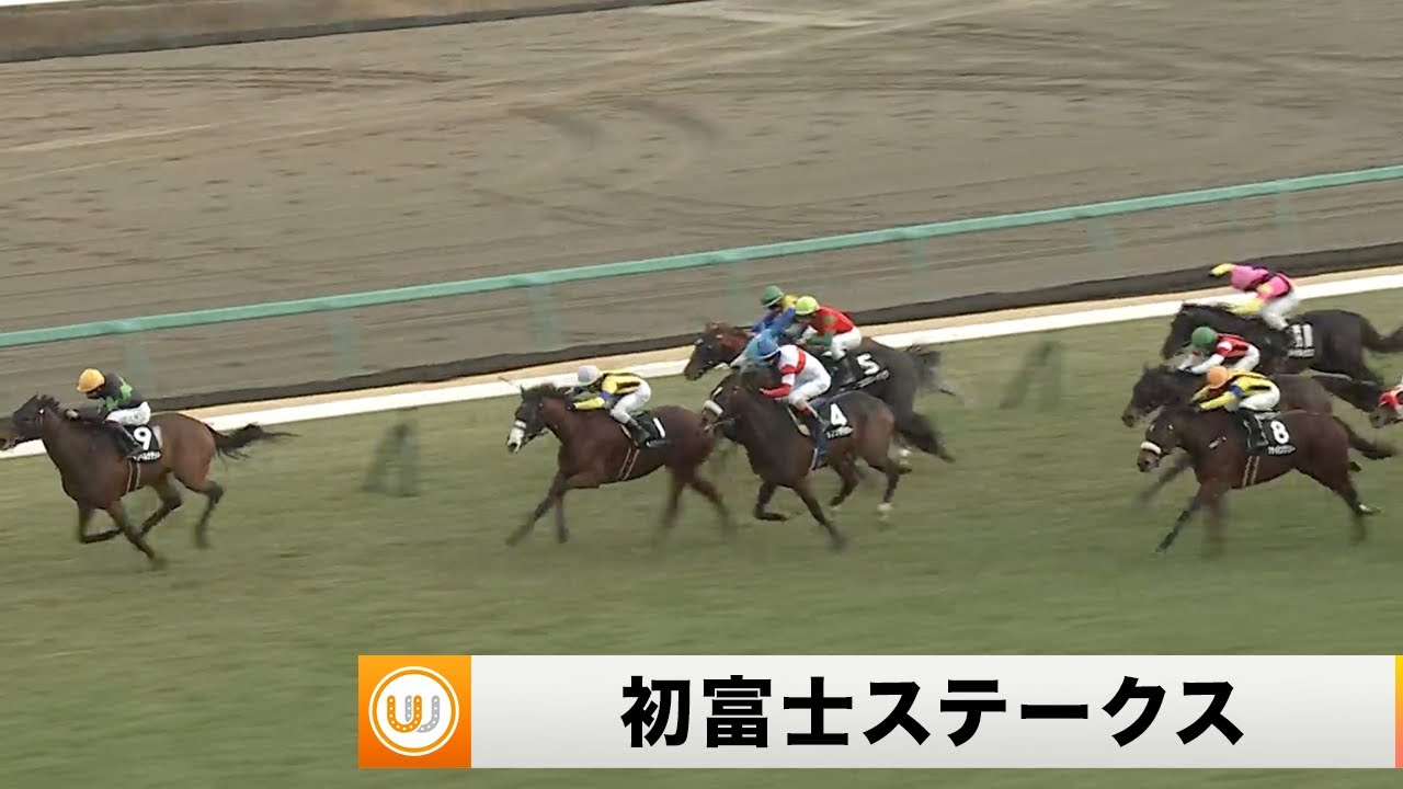 【2024】初富士ステークス 中山競馬場11R ｜ウイニング競馬 2024年1月20日（土）