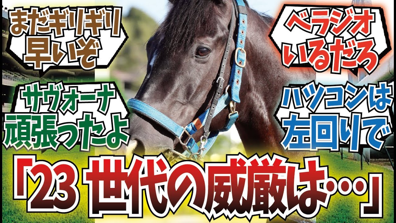 「23世代牡馬の名誉は」に対するみんなの反応集