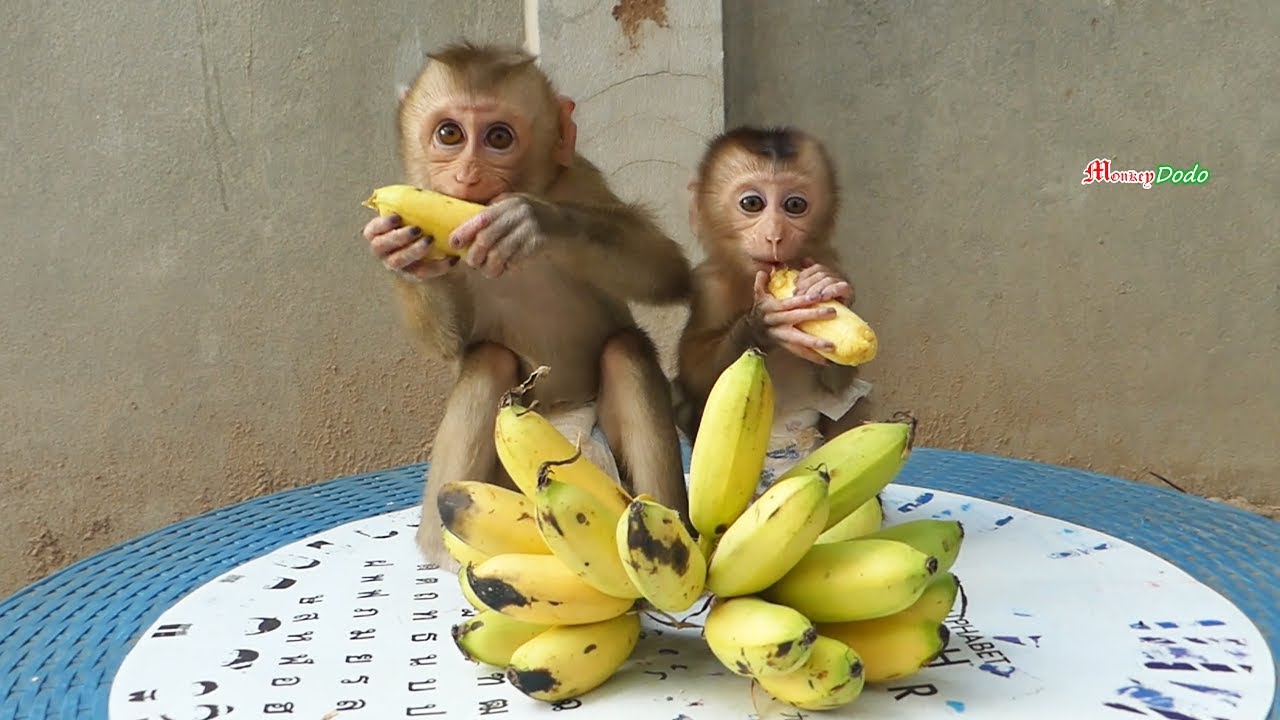 Jenna Shusy Hungry Cannot Wait Mom Peel Banana For Them,  Jenna Shusy Like Banana