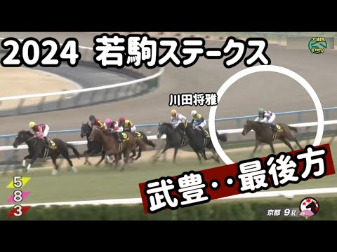京都9R 若駒S 武豊が川田将雅をマークし全馬を圧勝する サンライズジパング ブエナオンダ