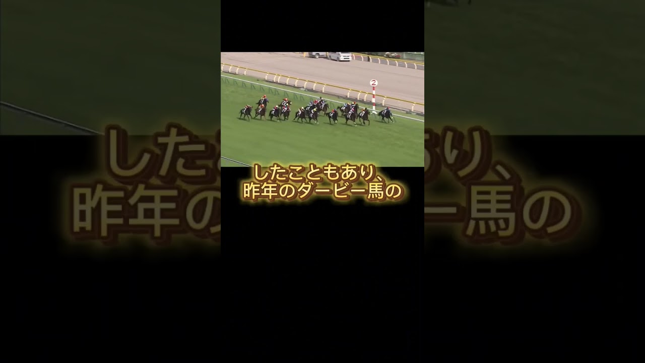 絶対的本命穴馬！！有馬記念はこの馬から買っていけ！！#有馬記念 #ドウデュース