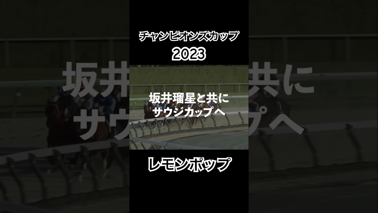 【レモンポップ】2023年チャンピオンズカップ勝者が坂井騎手とのコンビでサウジカップ制覇へ！#競馬 #サウジカップ #坂井瑠星 #レモンポップ