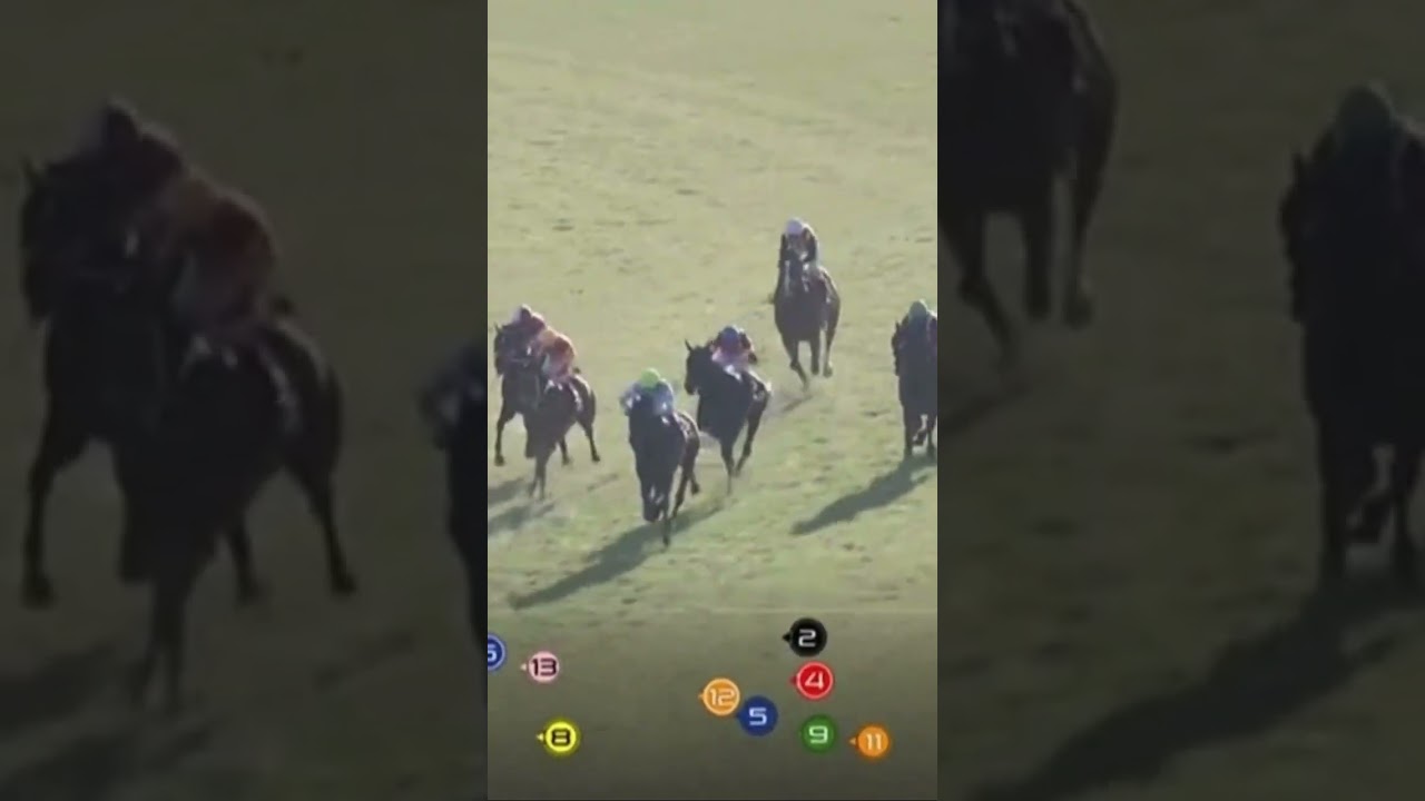 🎍日経新春杯2024🎍 ブローザホーン🐴 #shorts