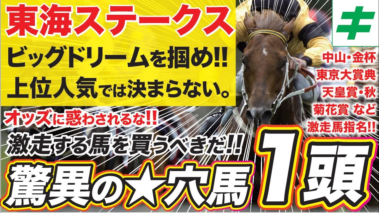 東海ステークス 2024 【穴馬/予想】オッズに惑わされるな！上位人気で決まらない理由は？「穴馬」から真っ向勝負だ！
