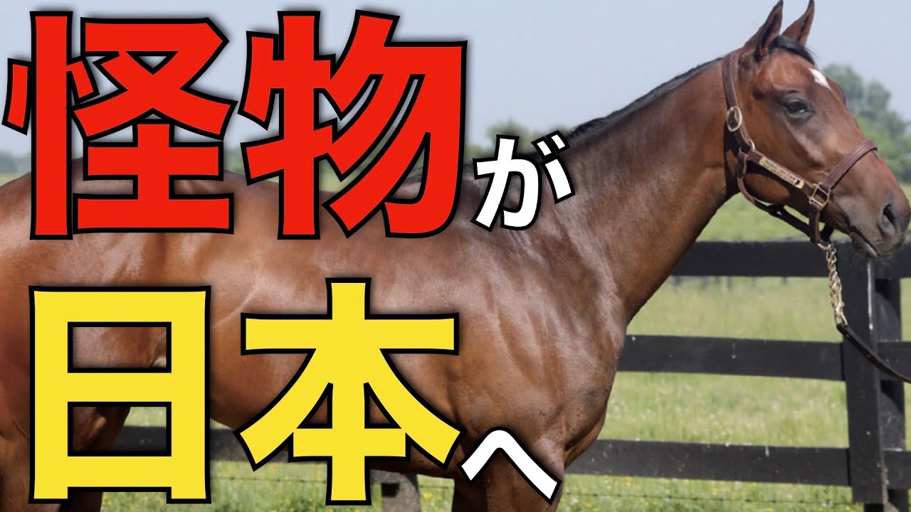【怪物の遺伝子】フライトライン産駒が日本に続々導入へ！新たな伝説の始まり。