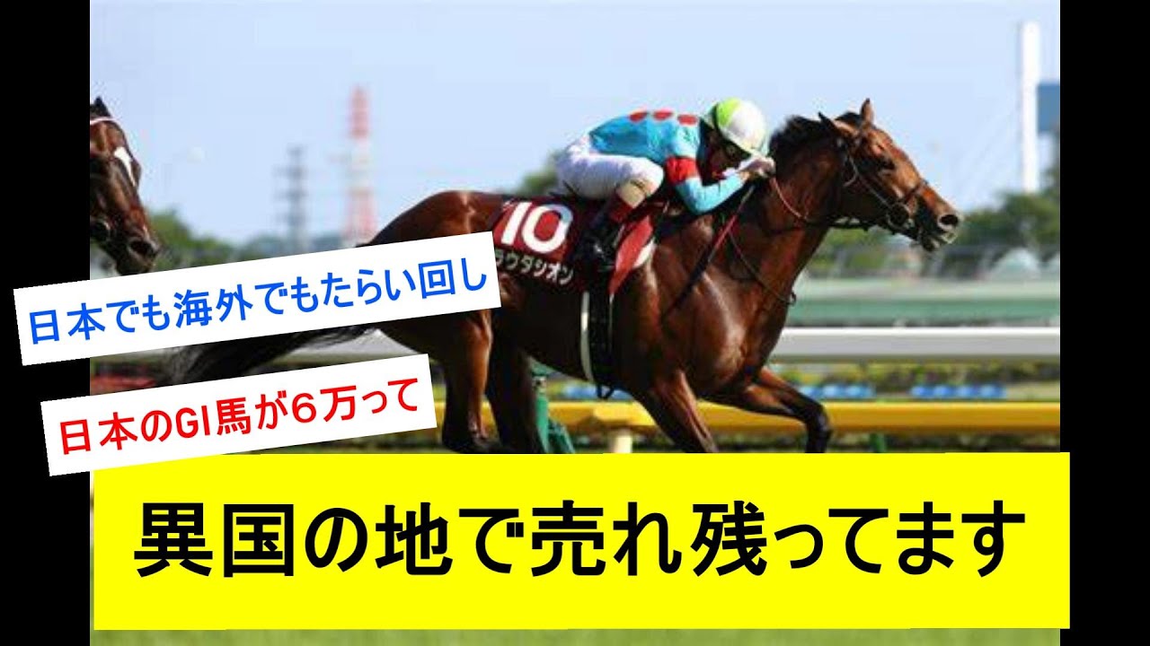 【悲報】ラウダシオンさんオーストラリアで発見されるwwwwwに対するみんなの反応【競馬反応集】