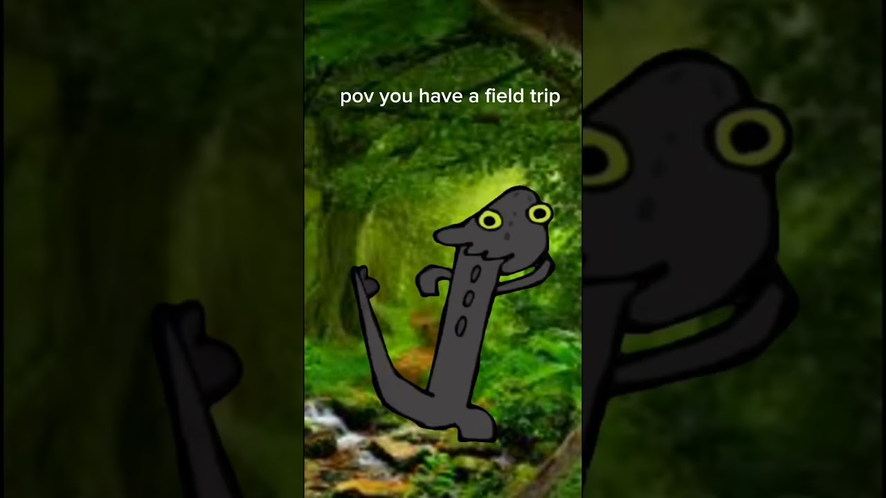 Pov you have a field trip #toothlessdancing #meme #funny