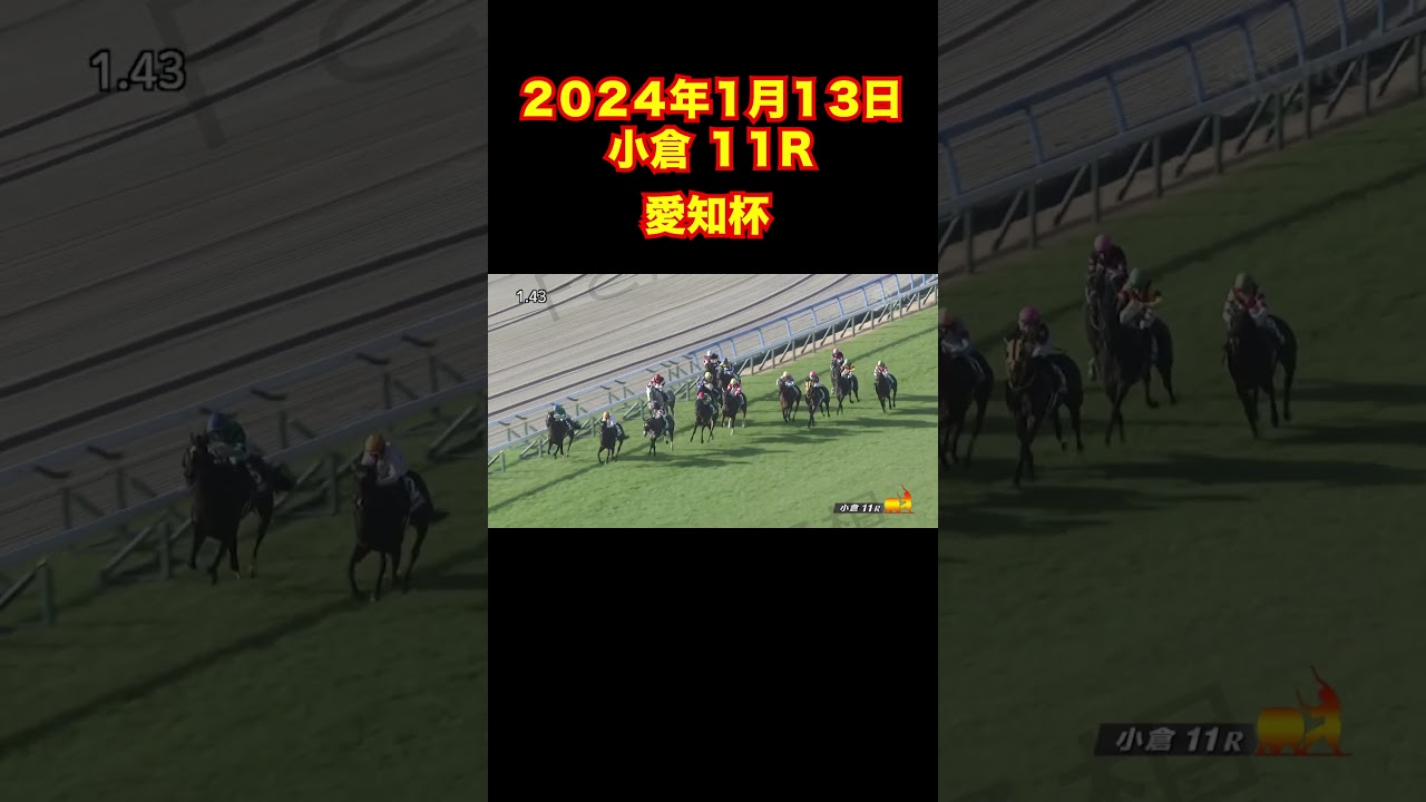 20240113 小倉11R #愛知杯  #競馬 #shorts