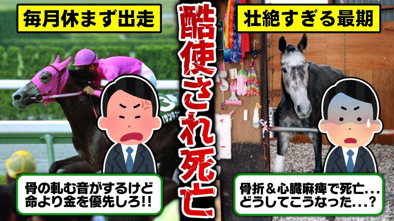 【残虐】命より金を優先した馬主に殺された悲運の名馬『サンエイサンキュー』の闇を暴く【ゆっくり解説】