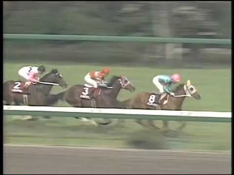 １９９２年　第３６回　大阪杯　トウカイテイオー