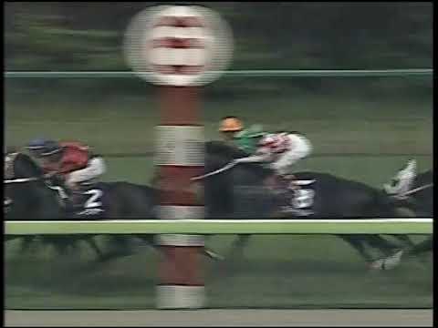 １９９６年　第２６回　高松宮記念　フラワーパーク