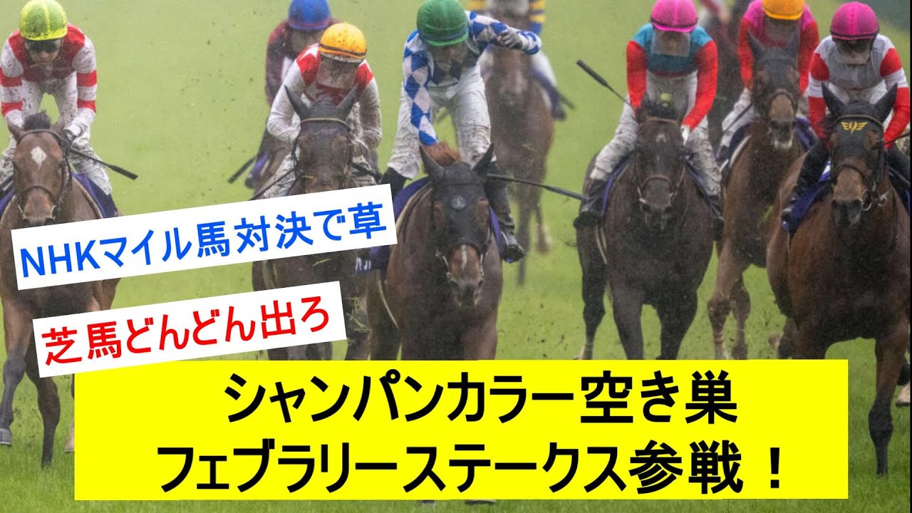 【朗報？】シャンパンカラー、フェブラリーステークスへ挑戦！に対するみんなの反応【競馬反応集】