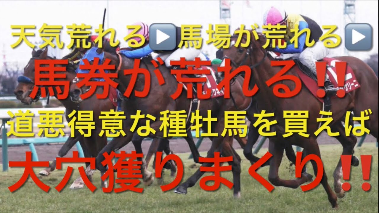 【競馬】道悪‼️道悪得意の種牡馬でボロ儲け【競馬検証】