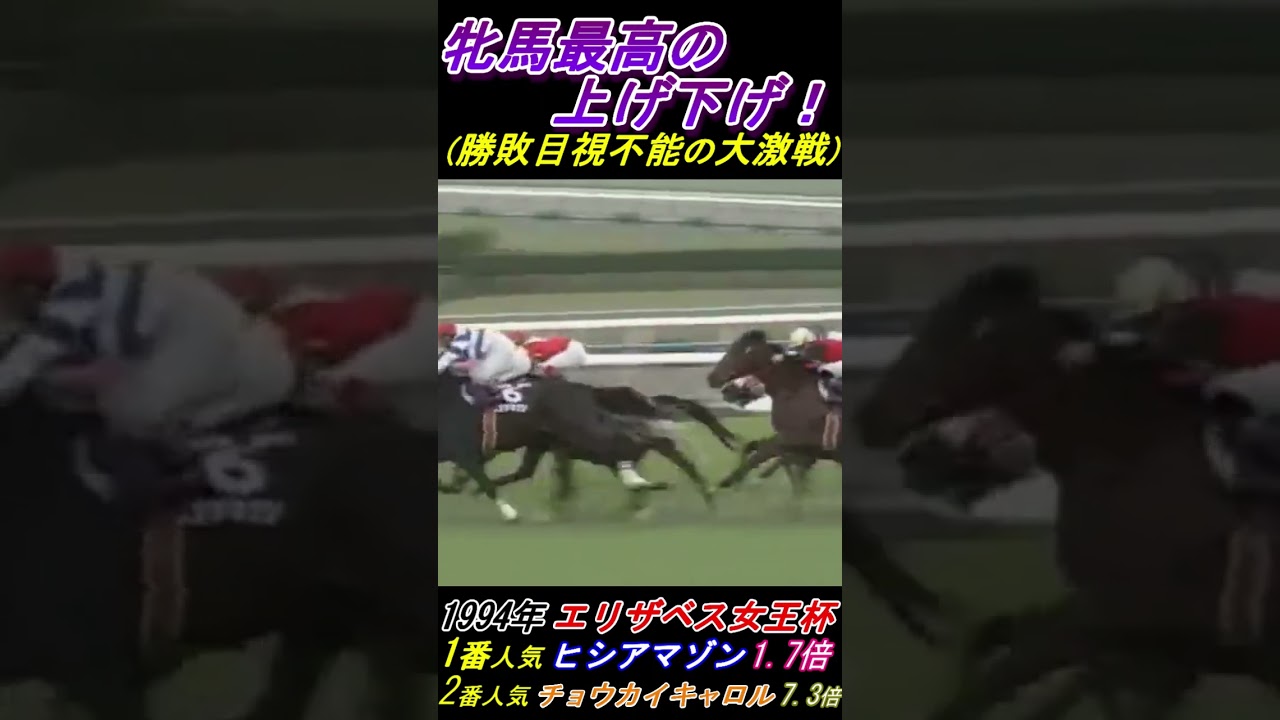 【史上最高の上げ下げ！】ヒシアマゾンの重賞6連勝か！オークス馬チョウカイキャロルの2冠達成か！エリザベス女王杯(G1)1994年 #ヒシアマゾン #チョウカイキャロル