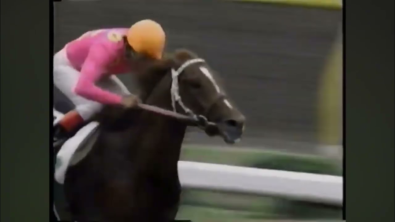 第90回 24時間テレビダービー🏇 最終日本競馬中継賞