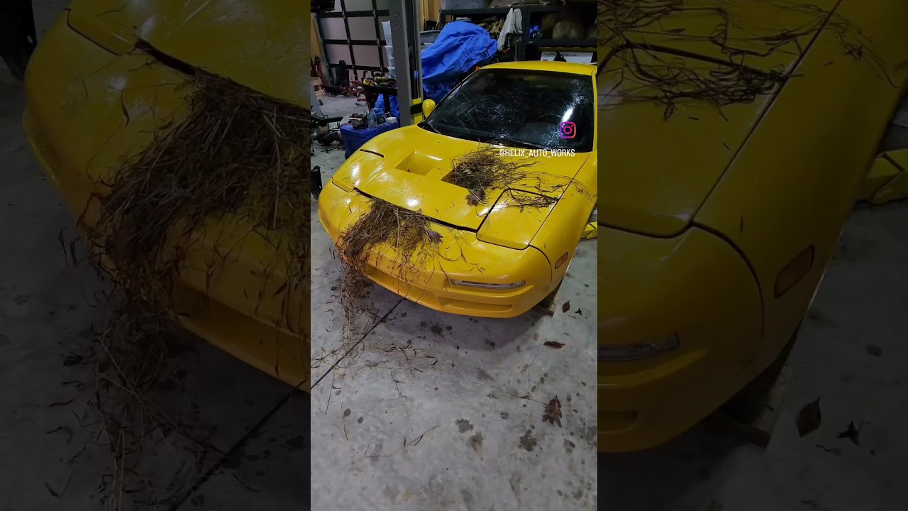 Omg guys!! We found an abandoned NSX inside of our garage!! Let's see if we can fix it! 🤣#acuransx