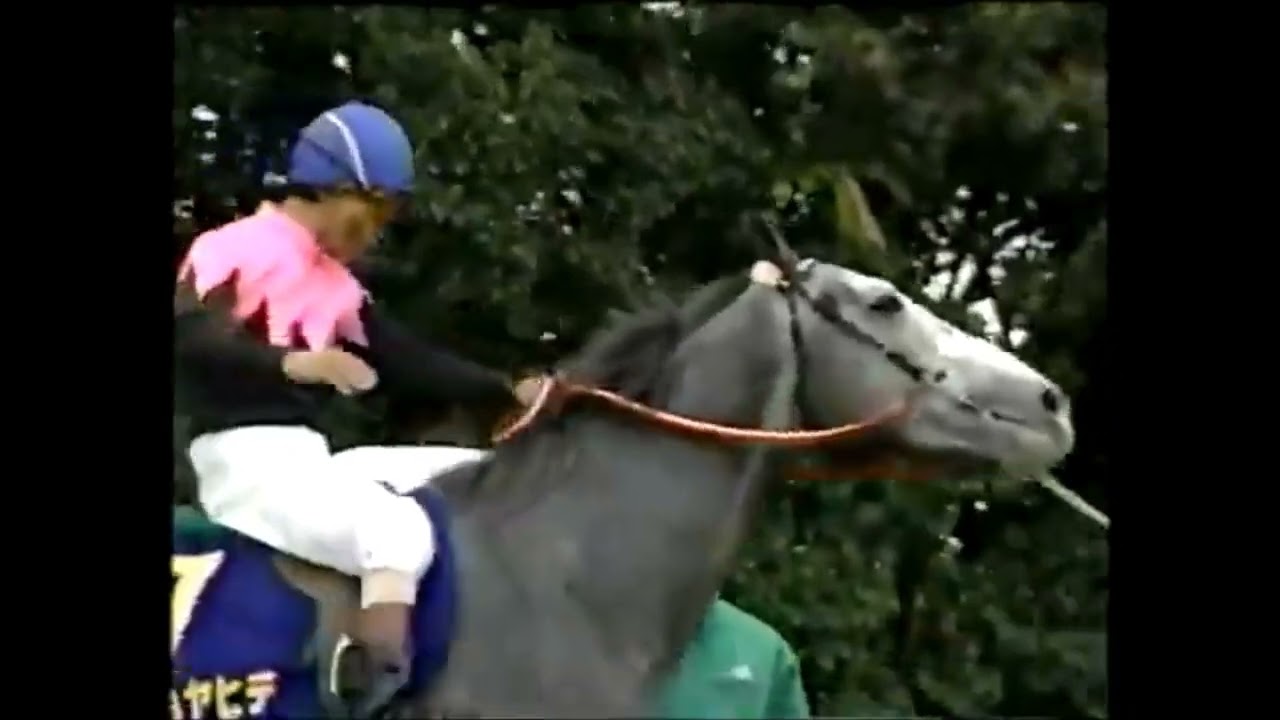 第54回　菊花賞 （ＧⅠ）　ビワハヤヒデ　牡３　57　岡部幸雄　1993.11.7　　出走馬：ステージチャンプ、ウイニングチケット、キングファラオ、タマモハイウェイ、シュアリーウィン、ナリタタイシン他