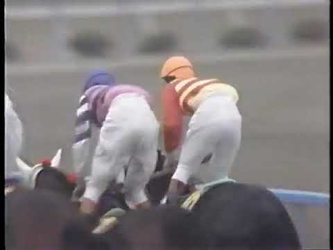 1980 エリザベス女王杯 ハギノトップレディ
