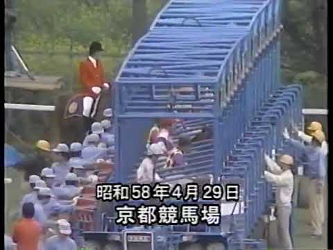 1983 天皇賞春 アンバーシャダイ