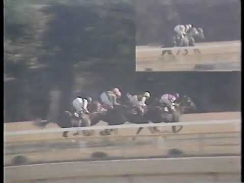 1977 エリザベス女王杯 インターグロリア