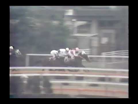 1977 天皇賞春 テンポイント