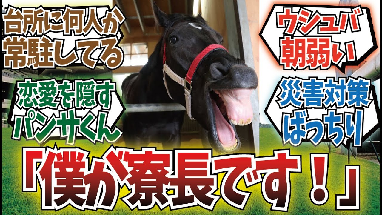 「20世代シェアハウス概念」に対するみんなの反応集