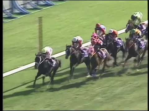 １９９７年　第１１５回　天皇賞　春　マヤノトップガン