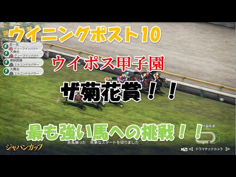 ウイニングポスト１０カスタム大会【ザ菊花賞】