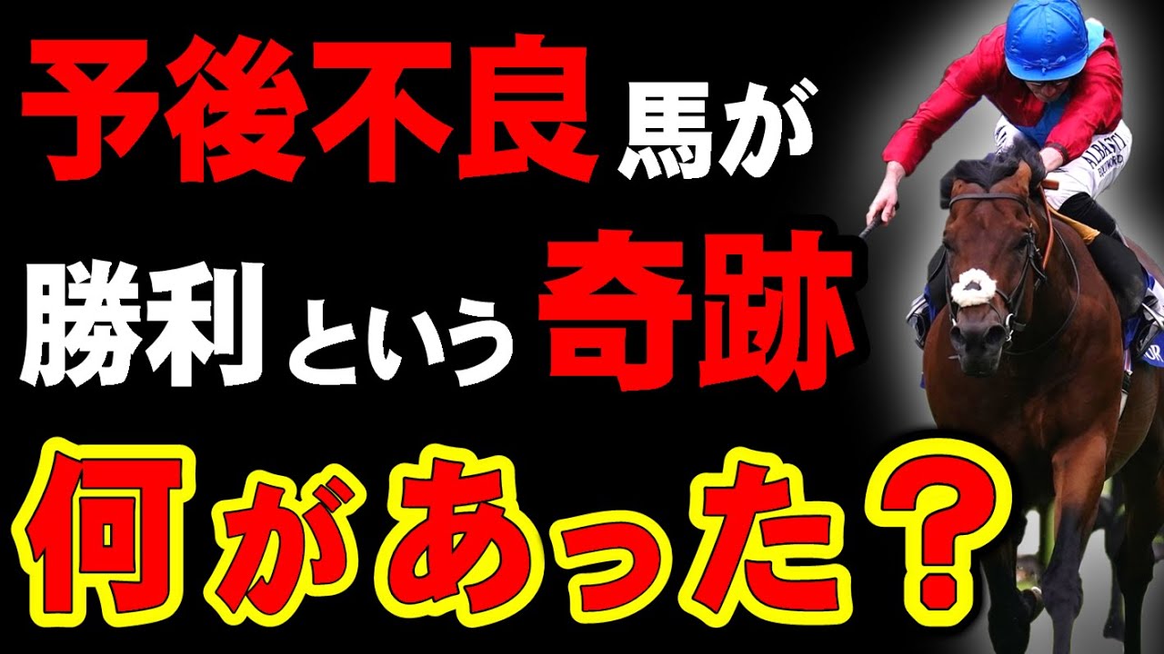 【まさか】予後不良馬が奇跡の勝利！何があった？