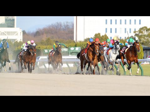 枠連投資馬券塾　#東海Ｓ２０２４　#枠出目予言　#馬番出目予言　意外に強い1番人気