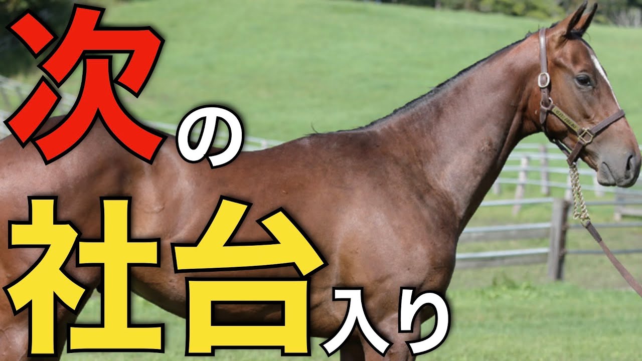 次期社台スタリオン候補はこの馬たち！2頭の驚異的な価値に注目。
