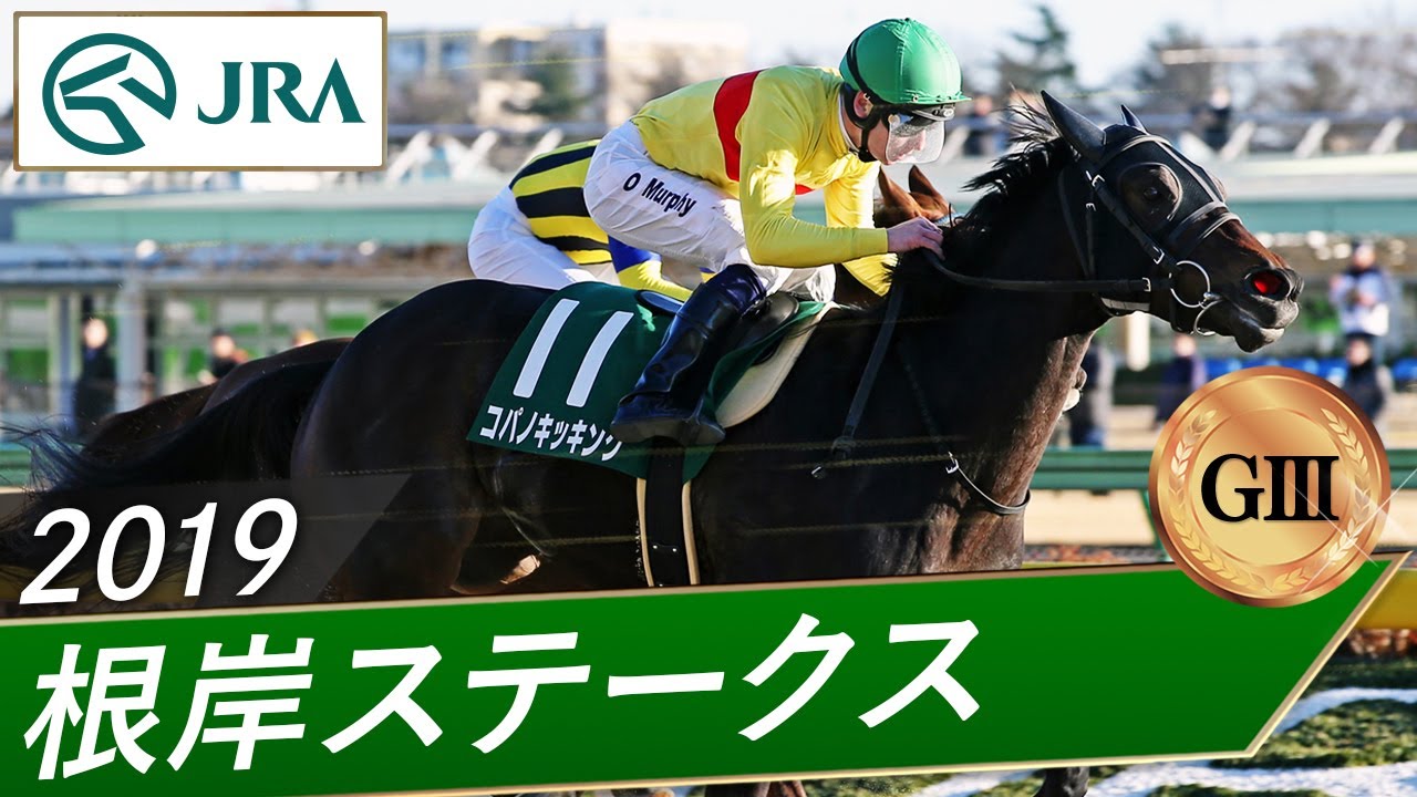 2019年 根岸ステークス（GⅢ） | コパノキッキング | JRA公式