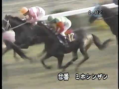 1985 菊花賞 ミホシンザン