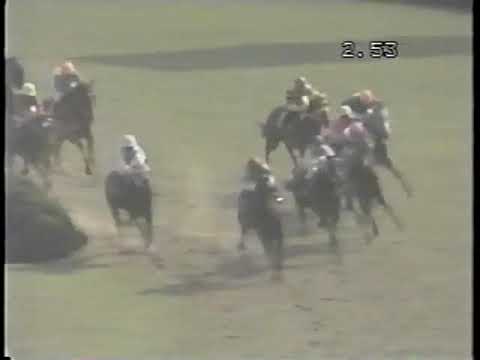 1985 天皇賞春 シンボリルドルフ