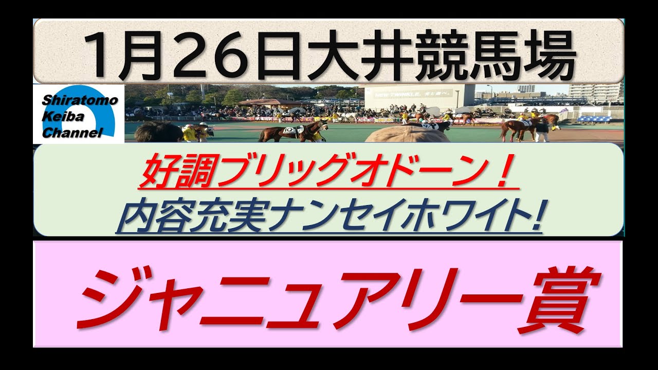 【競馬予想】ジャニュアリー賞！～２０２４年１月２６日 大井競馬場 ：１－５３
