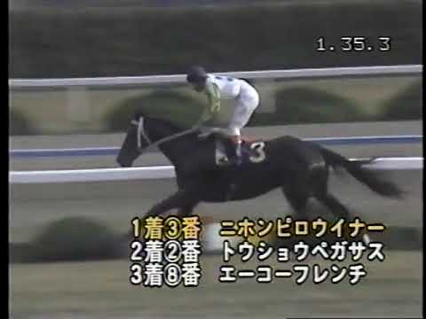 1985 マイルチャンピオンシップ ニホンピロウイナー