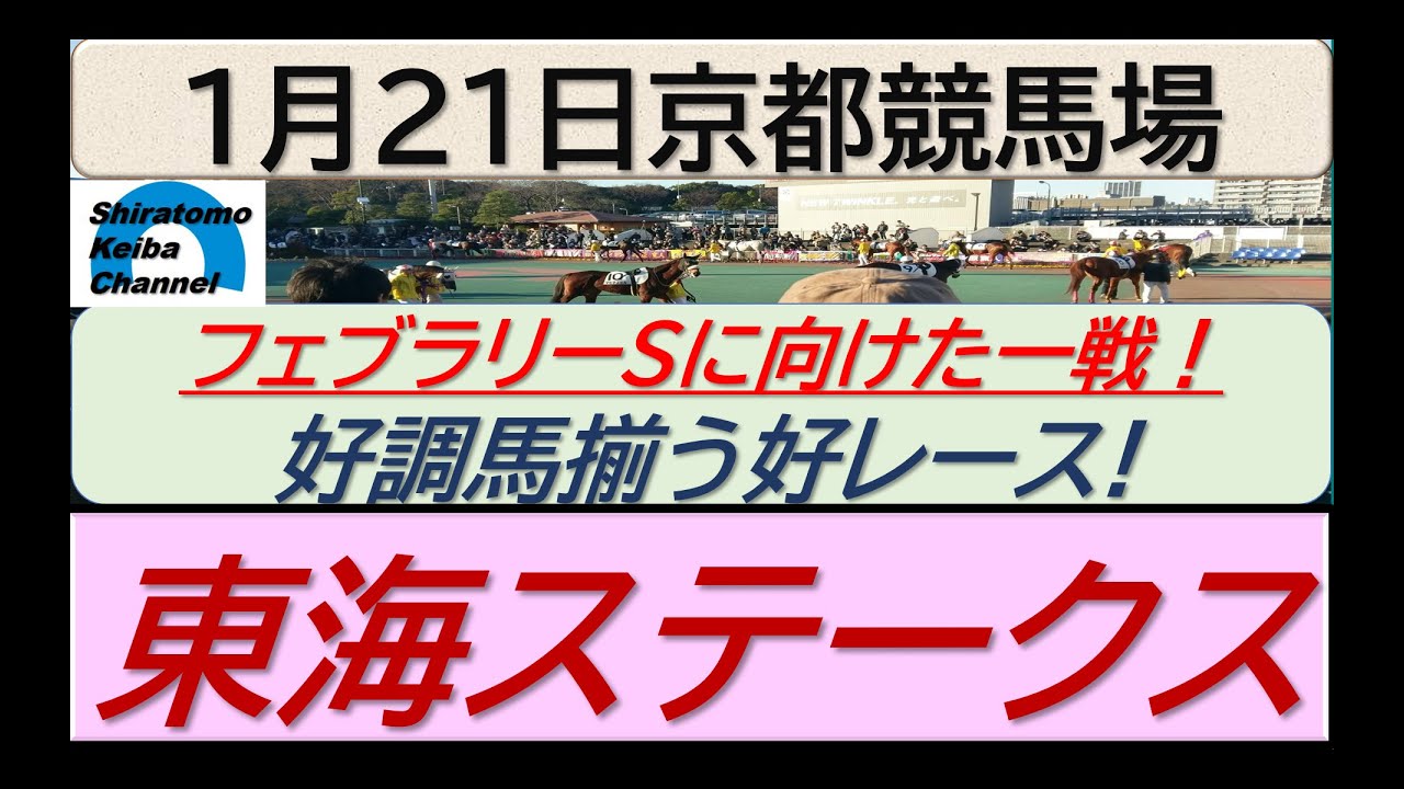 【競馬予想】GⅡ東海ステークス　フェブラリーステークスに向けた大切な一戦！～２０２４年１月２１日 京都競馬場 ：１－４３