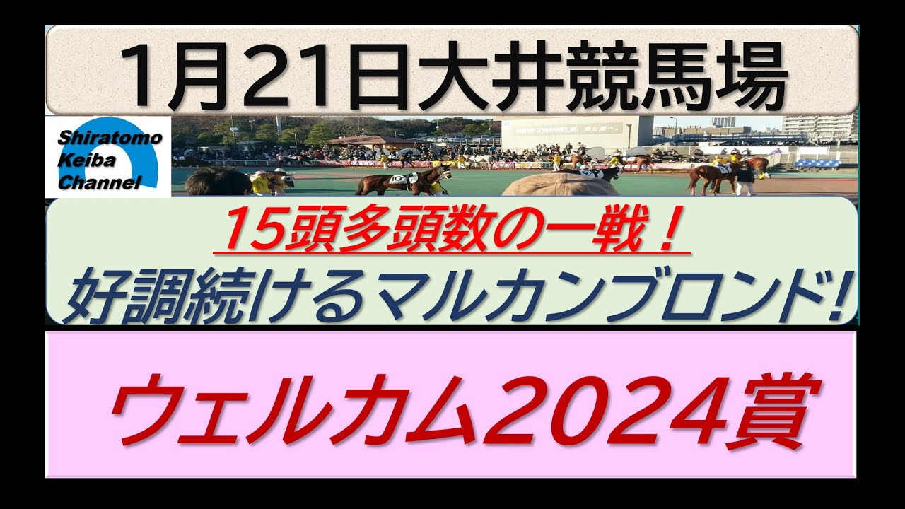 【競馬予想】ウェルカム2024賞～日曜日も大井～！～２０２４年１月２１日 大井競馬場 ：１－４５