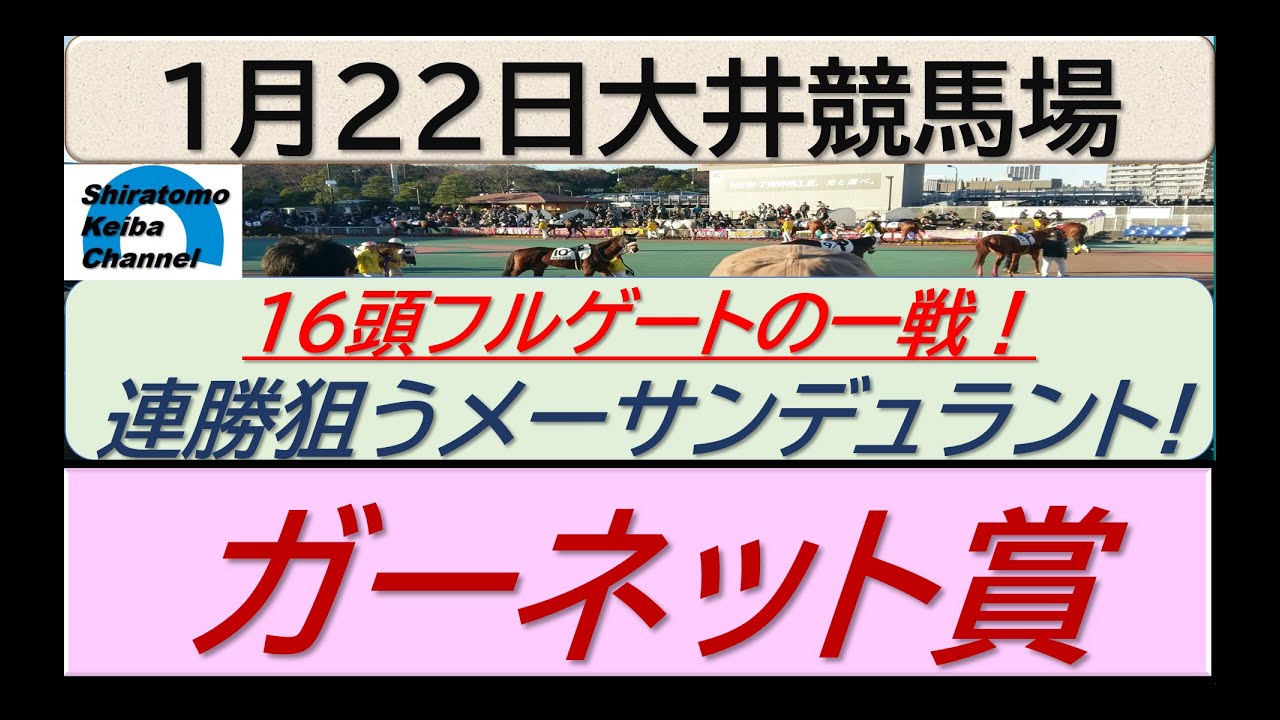 【競馬予想】ガーネット賞～フルゲート～！～２０２４年１月２２日 大井競馬場 ：１－４６