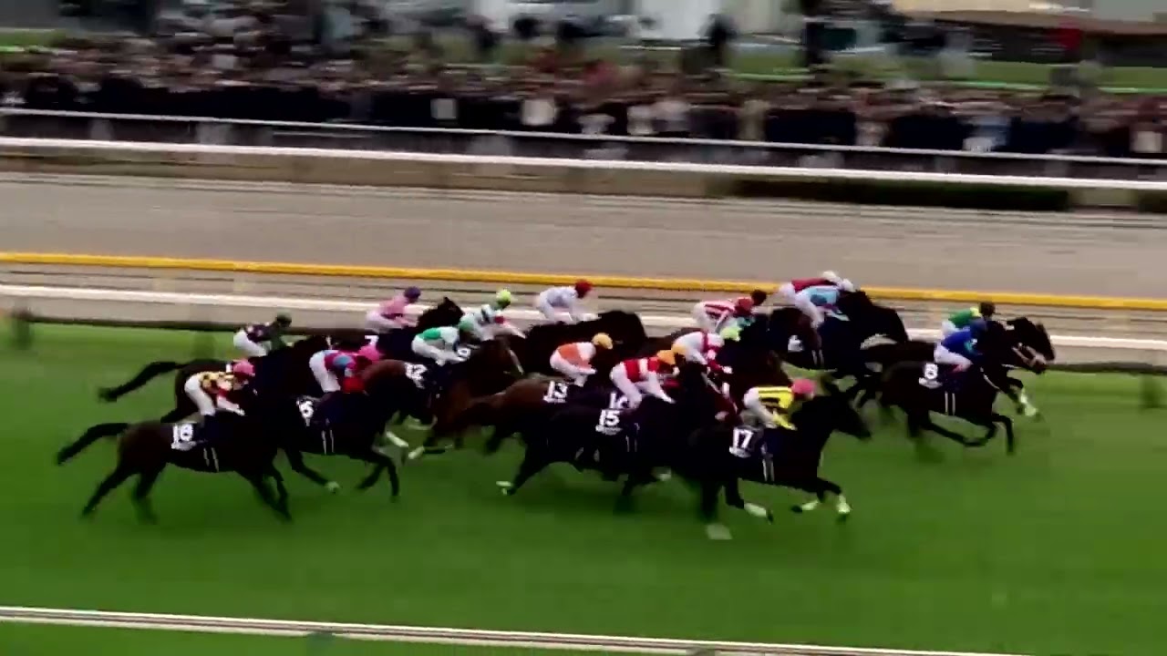 ジャパンカップ イクイノックス圧勝【完全版】 東京競馬場風景～1、2着馬のパドック＆本馬場入場～ファンファーレからのレースフル映像 2023.11.26