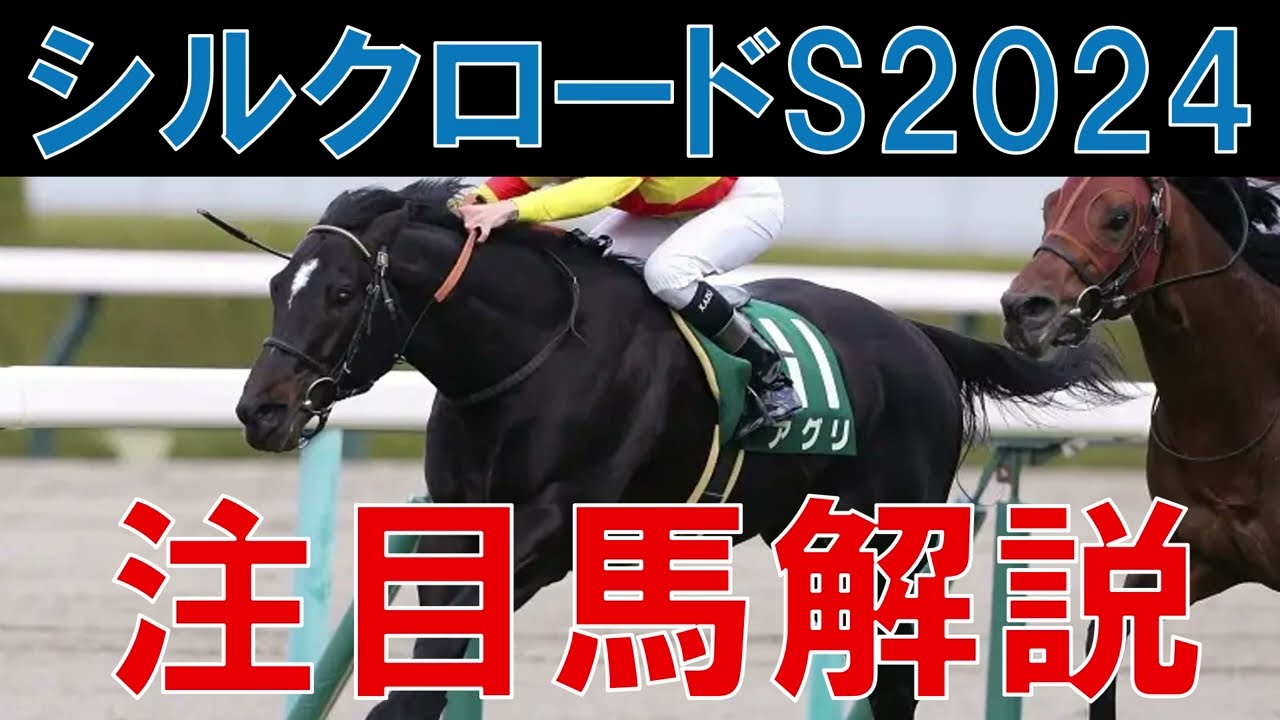 シルクロードS 2024 注目馬解説　高松宮記念につながる注目のレース 京都の馬場状態にも注目